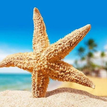 Sea Star Apartments オデッサ エクステリア 写真