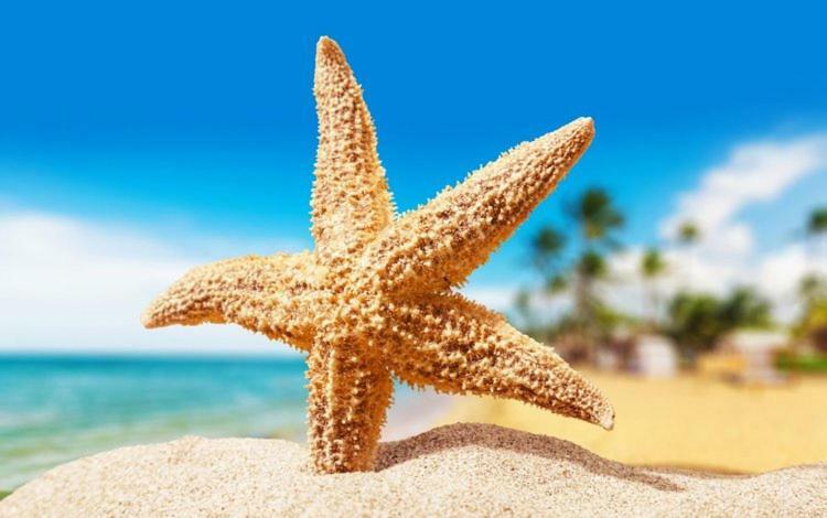 Sea Star Apartments オデッサ エクステリア 写真